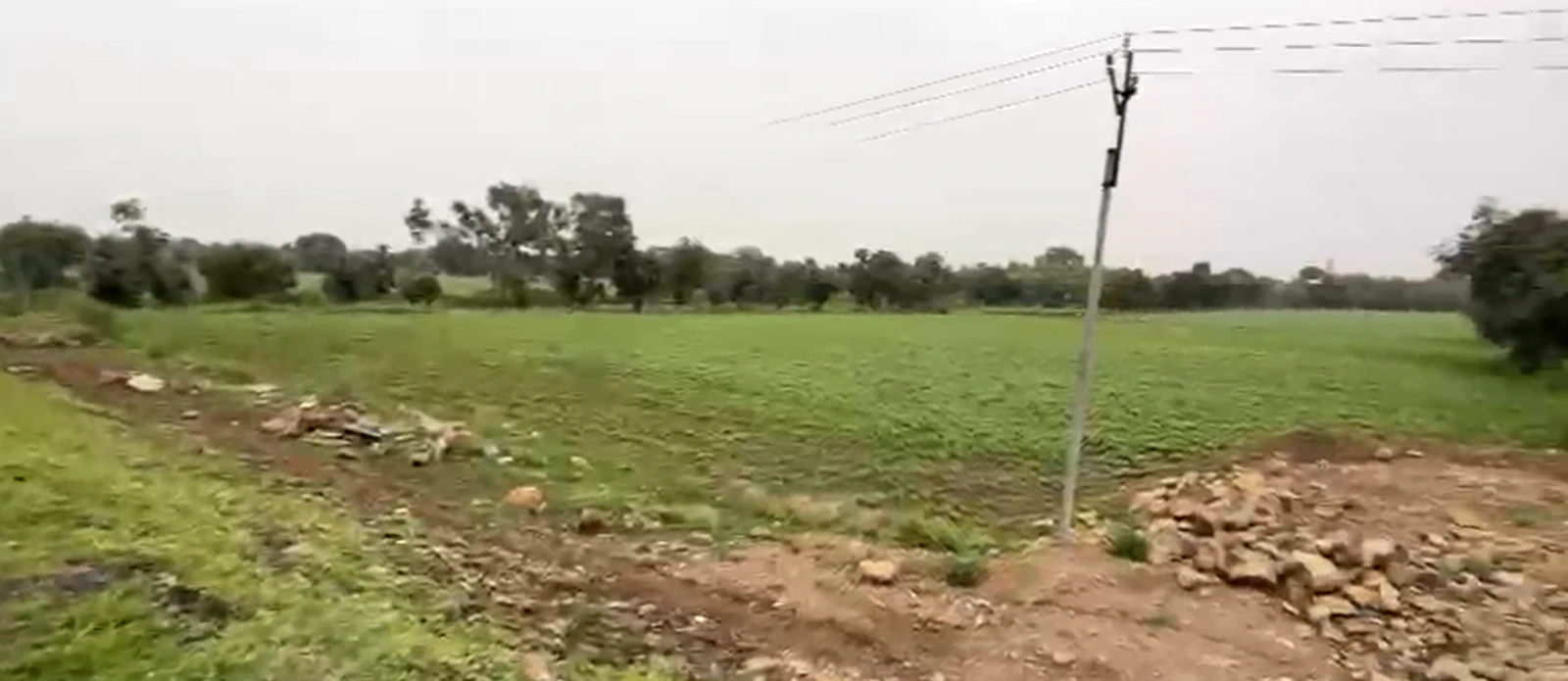 Lotiya Kishna, Agar Malwa, Madhya Pradesh 465550, India