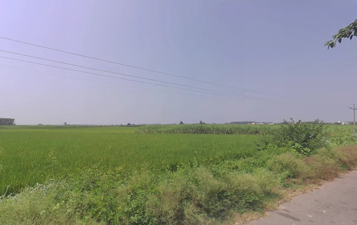 64V4+47M, Dhin, Haryana 133202, India