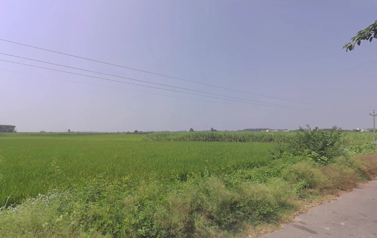 64V4+47M, Dhin, Haryana 133202, India