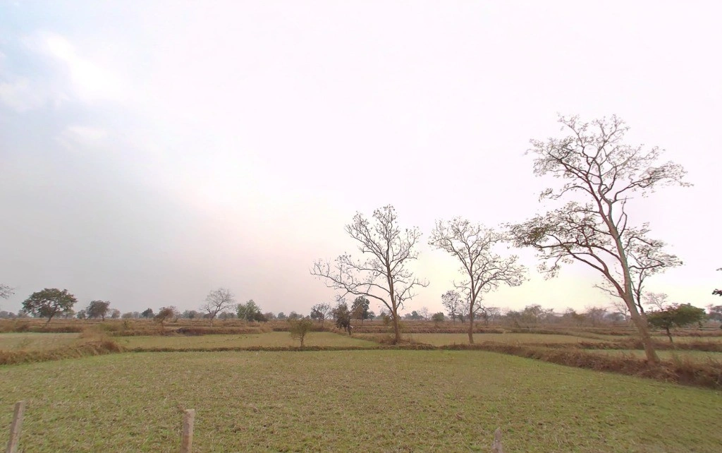 Amawash, Chhattisgarh 493445, India