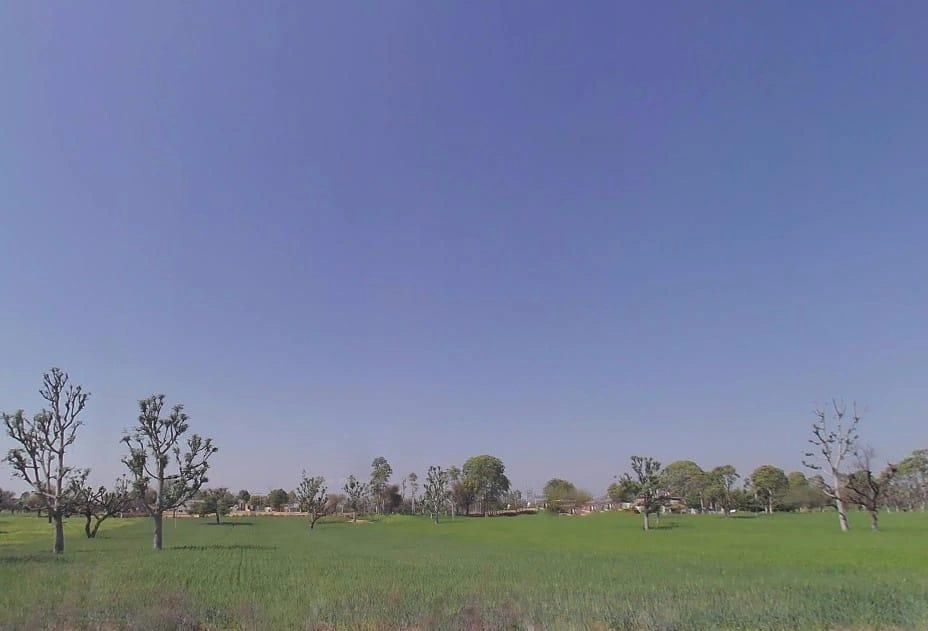 Khachariawas, Rajasthan 332710, India