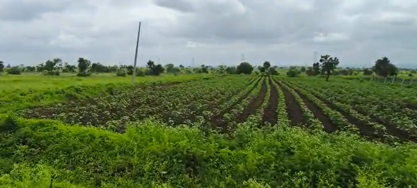 6MJV+HJM, Jogulamba Gadwal, Dharoor, Telangana 509133, India
