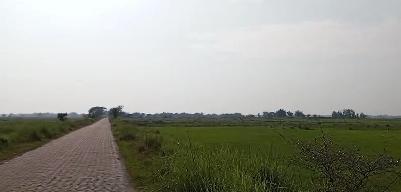 Kumbha Khedi, Jhabua, Madhya Pradesh 457775, India