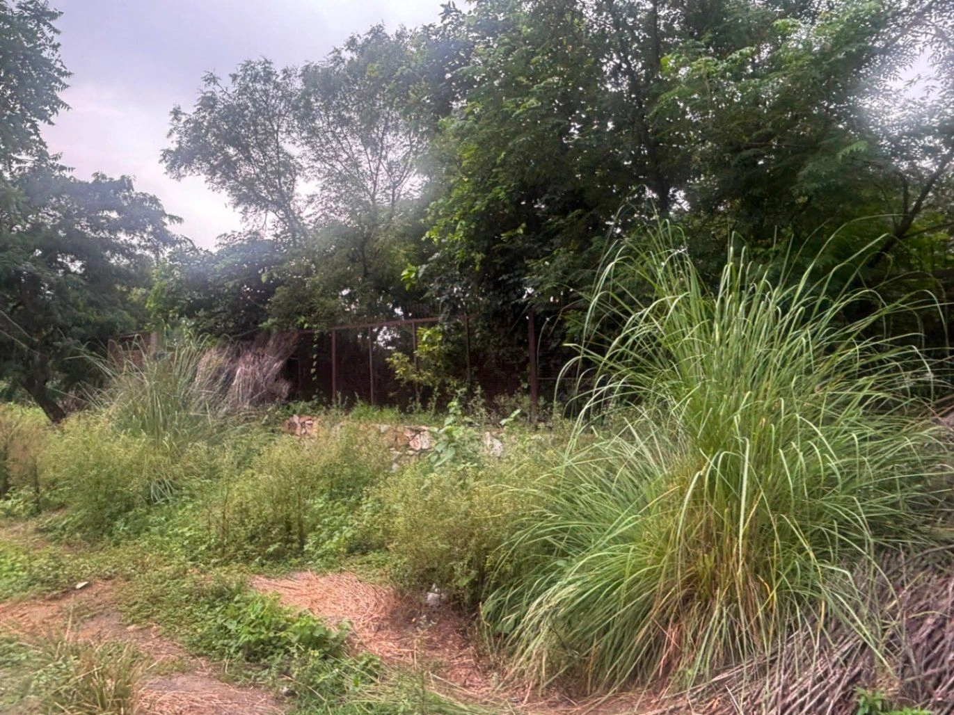 2RFP+JC7, Khairthal-Tijara, Tijara, Rabhana, Rajasthan 301411, India