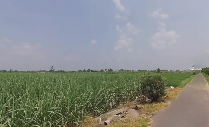 Himmatpura, Punjab 142039, India