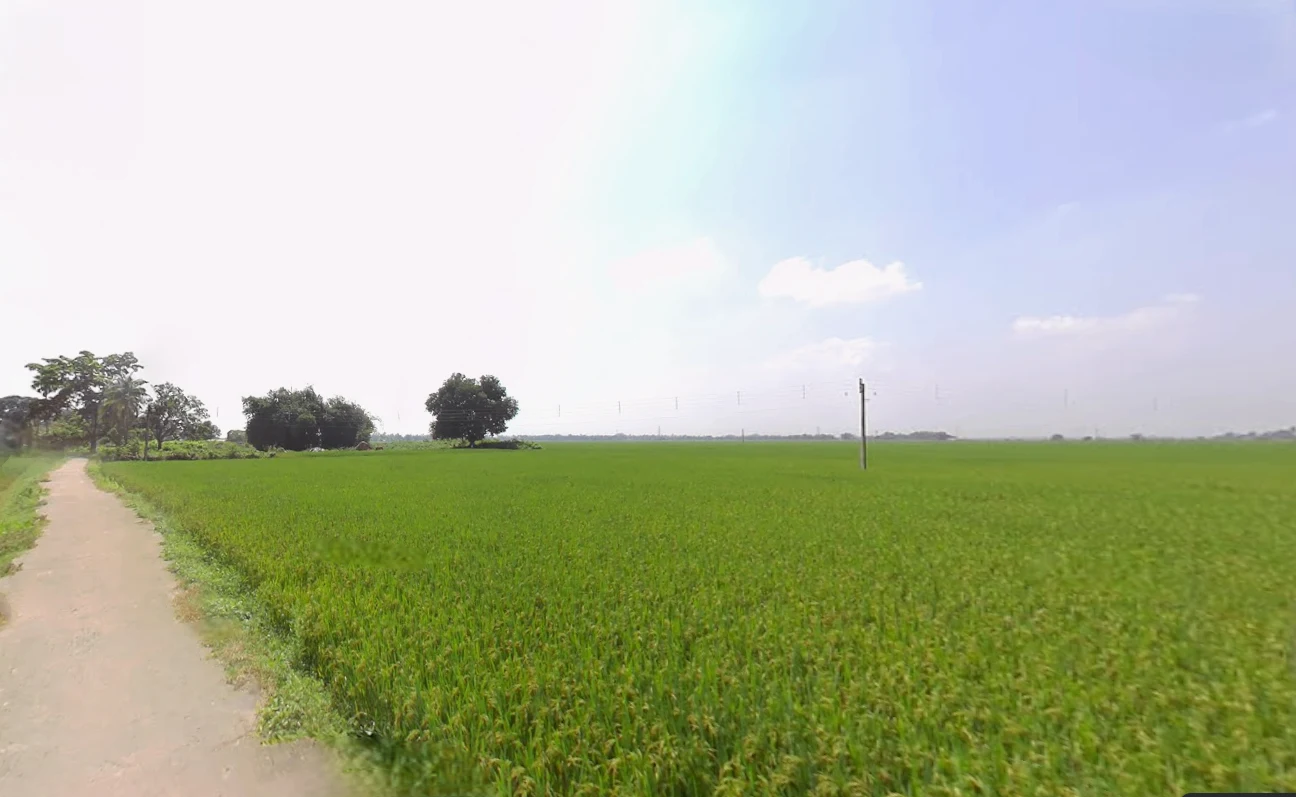 Singur, West Bengal 712409, India