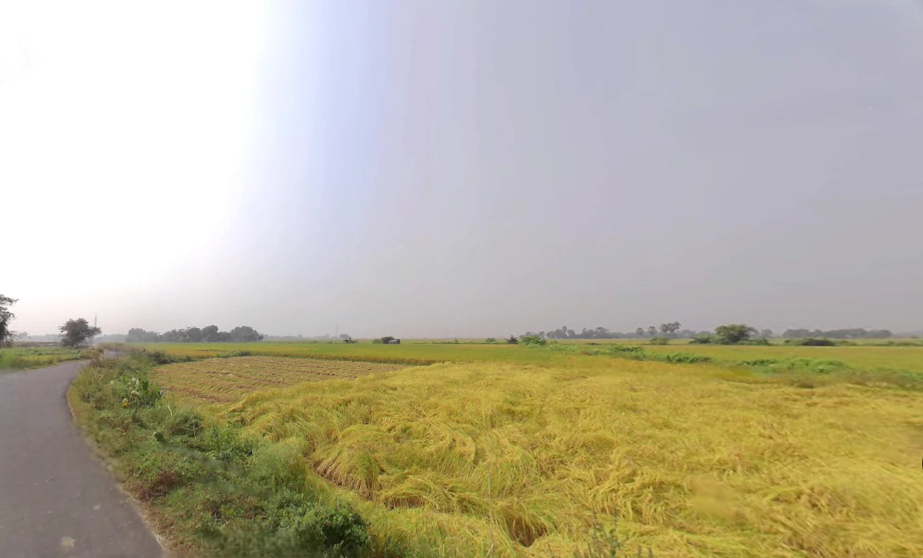 Singur, West Bengal 712409, India