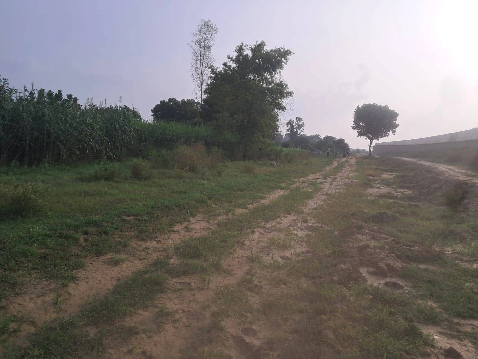 P6C2+8V, Ayodhya, Dadera, Uttar Pradesh 224135, India