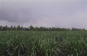 Naya Gaon, Uttar Pradesh 247451, India preview 2