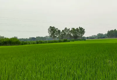 Indri, Haryana 132041, India preview 2