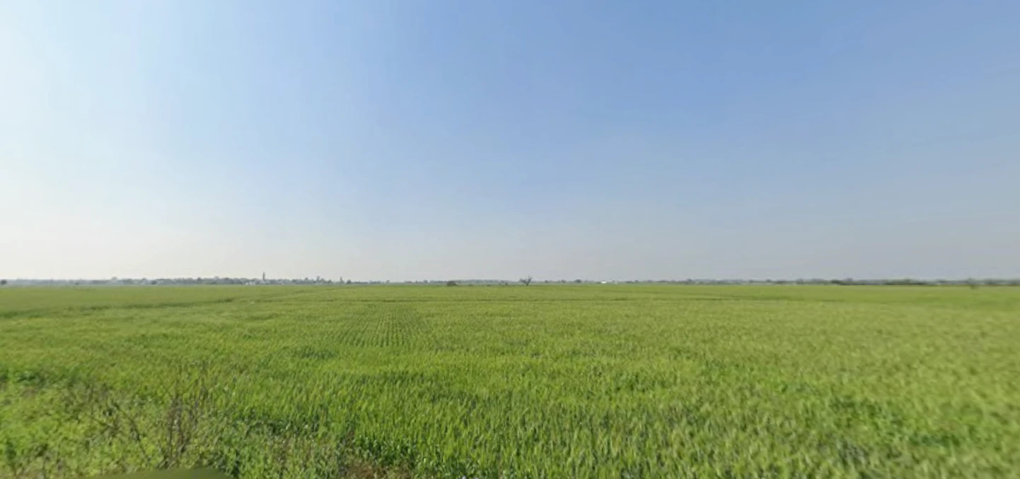 Rojda, Rajasthan 302012, India