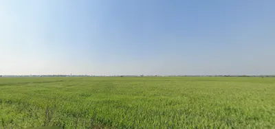 Rojda, Rajasthan 302012, India preview 2