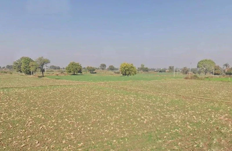 Talera, Rajasthan 323021, India preview 3