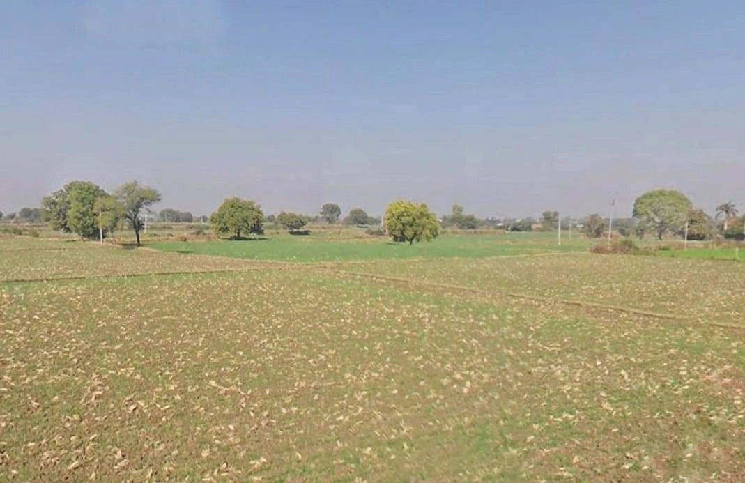Talera, Rajasthan 323021, India