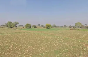 Talera, Rajasthan 323021, India preview 3