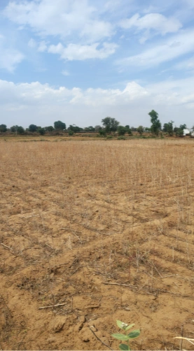 9V85+J5J, Laxmangarh, Rajasthan 321607, India