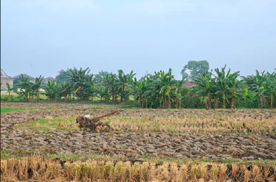 PG7P+J69, Simga - Kawardha Rd, Berla, Bemetara, Chhattisgarh 491335, India preview 2