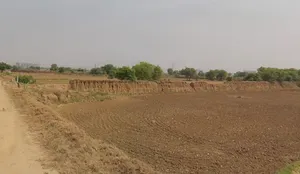Shamsher, Uttar Pradesh 201003, India preview 2