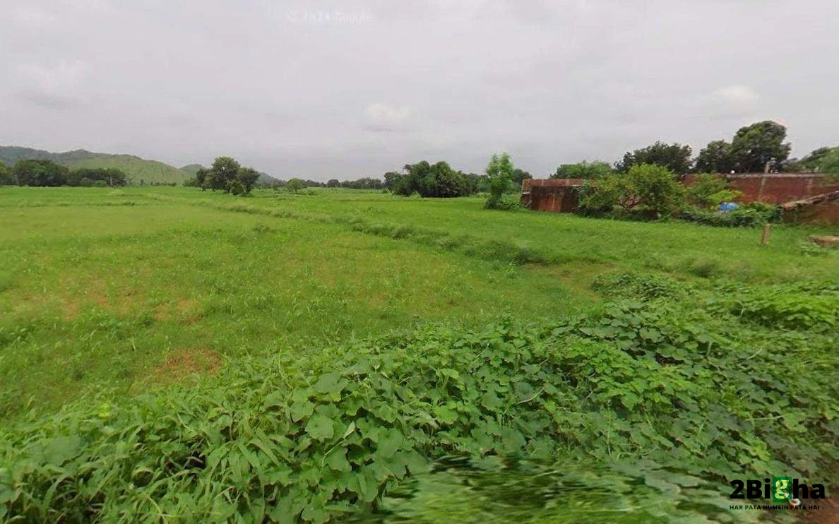 Matehana, Madhya Pradesh 485113, India