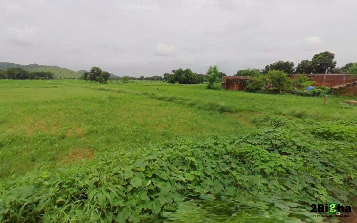 Matehana, Madhya Pradesh 485113, India