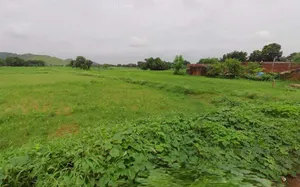 Matehana, Madhya Pradesh 485113, India preview 3