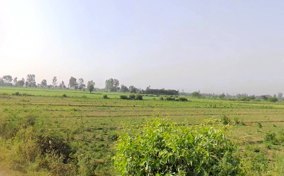 Shahpur, Uttar Pradesh 251318, India