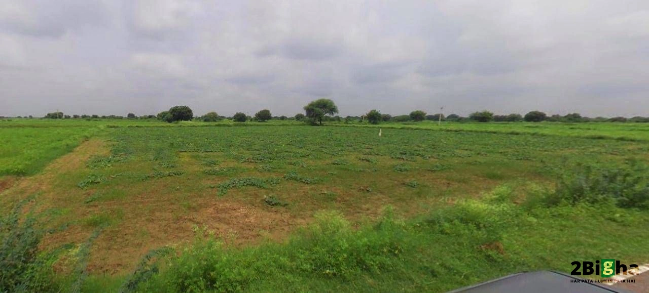 Farukh Nagar, Haryana 122506, India
