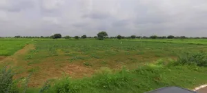 Farukh Nagar, Haryana 122506, India preview 3