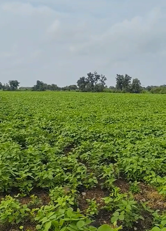 Maihar, Madhya Pradesh 485771, India