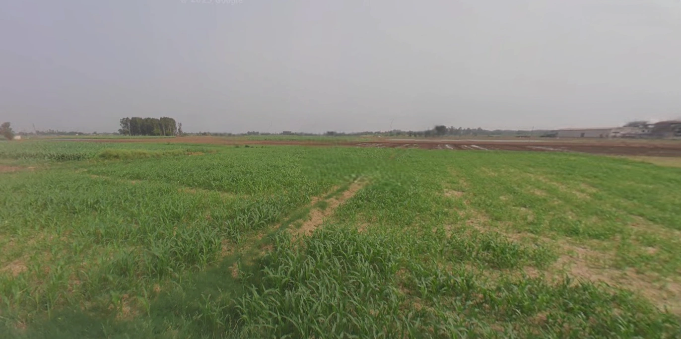 Morinda - Chunni Rd, Bhateri, Punjab, India