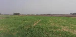 Morinda - Chunni Rd, Bhateri, Punjab, India preview 2