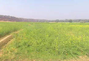 Pagar, Uttar Pradesh 231211, India preview 3