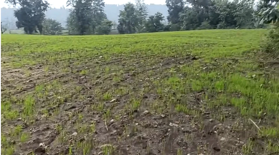 Seema Dwar, Dehradun, Uttarakhand, India