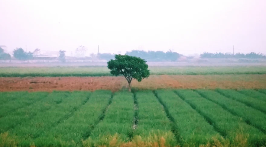 Sodepur, Kolkata, West Bengal, India
