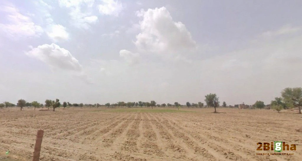 Bhanawatawala, Rajasthan 334808, India