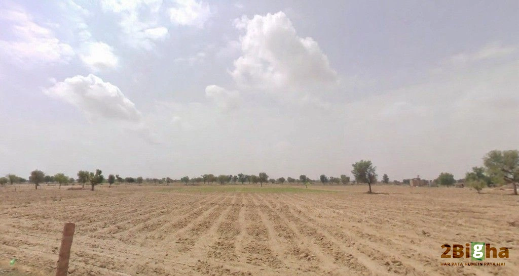 Bhanawatawala, Rajasthan 334808, India