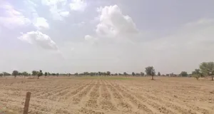 Bhanawatawala, Rajasthan 334808, India preview 2