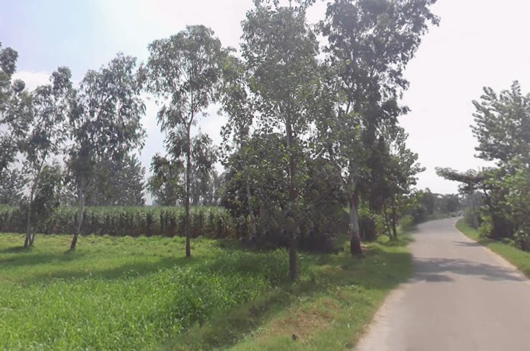 Behsuma, Uttar Pradesh 250401, India