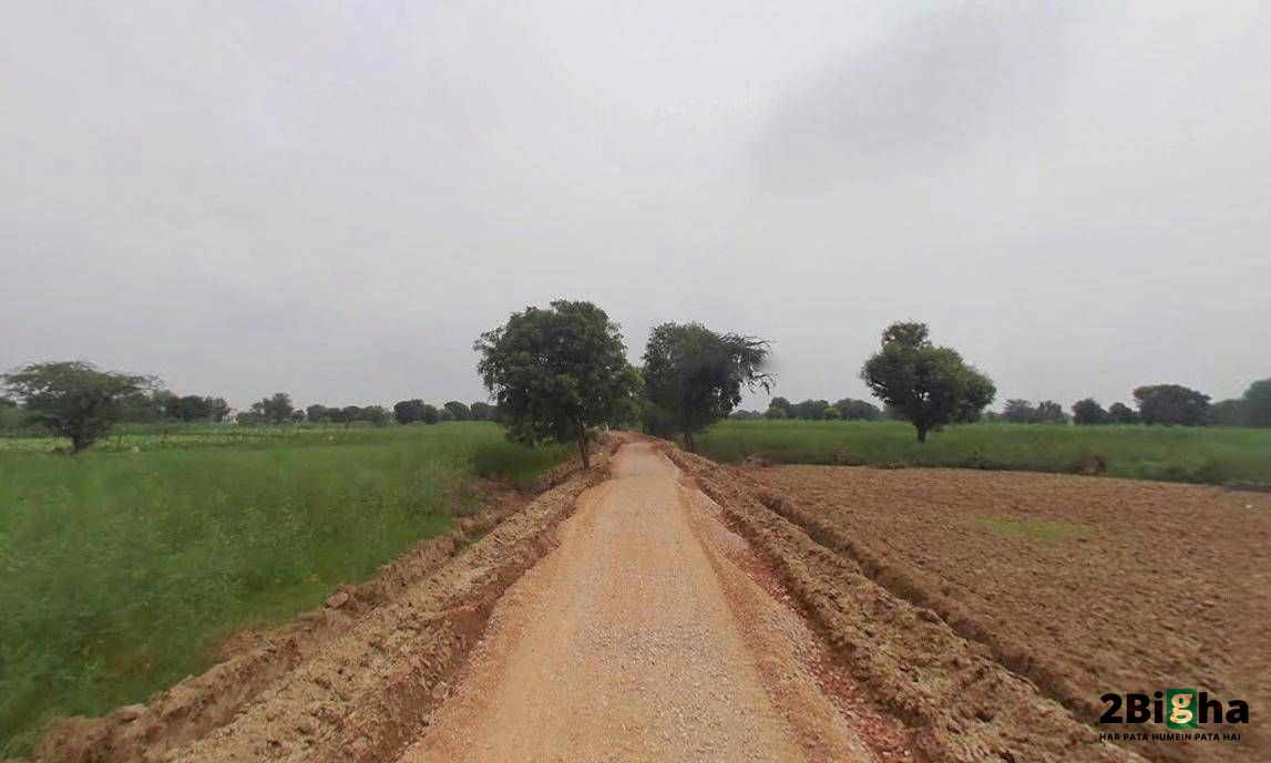 Kothi, Madhya Pradesh 485666, India