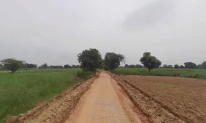 Kothi, Madhya Pradesh 485666, India preview 3