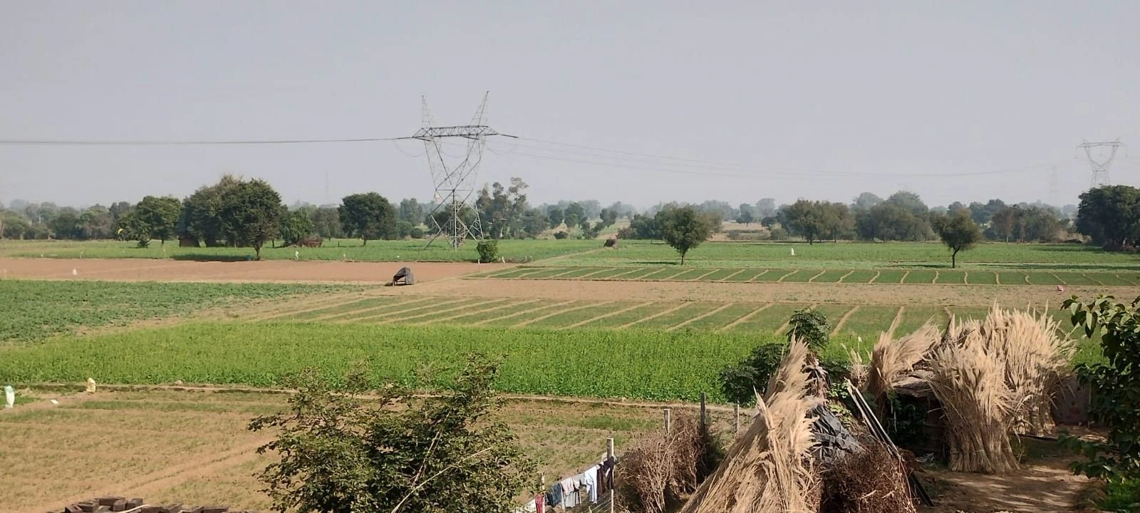 Ekarli, Rajasthan, India preview 2