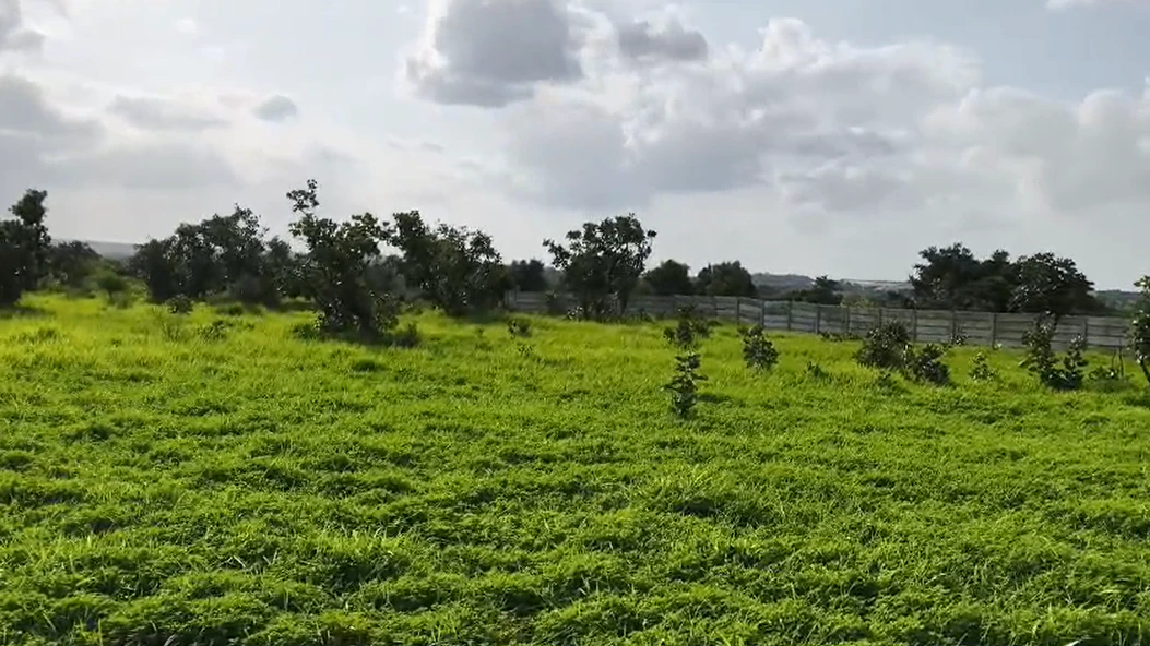 9VJG+5Q, Vikarabad, Kompally, Telangana 501102, India