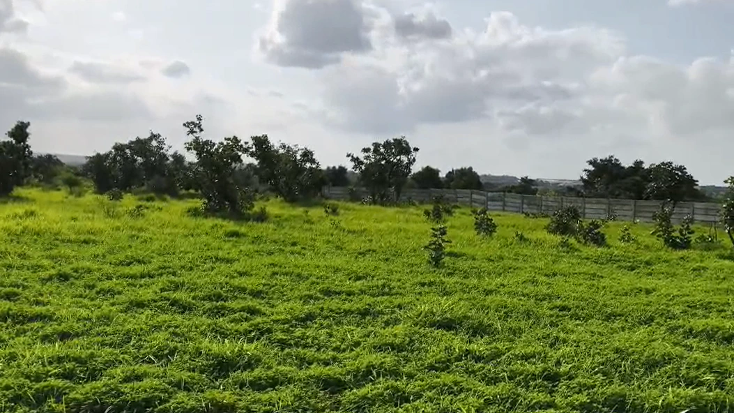 9VJG+5Q, Vikarabad, Kompally, Telangana 501102, India