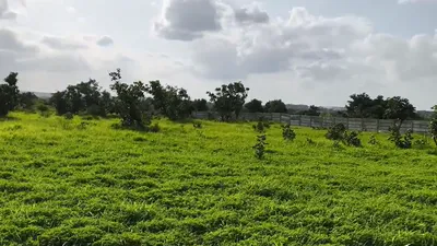 9VJG+5Q, Vikarabad, Kompally, Telangana 501102, India preview 3