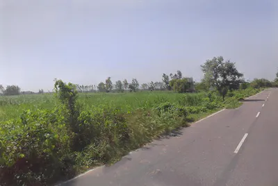 Palwada, Uttar Pradesh, India preview 2