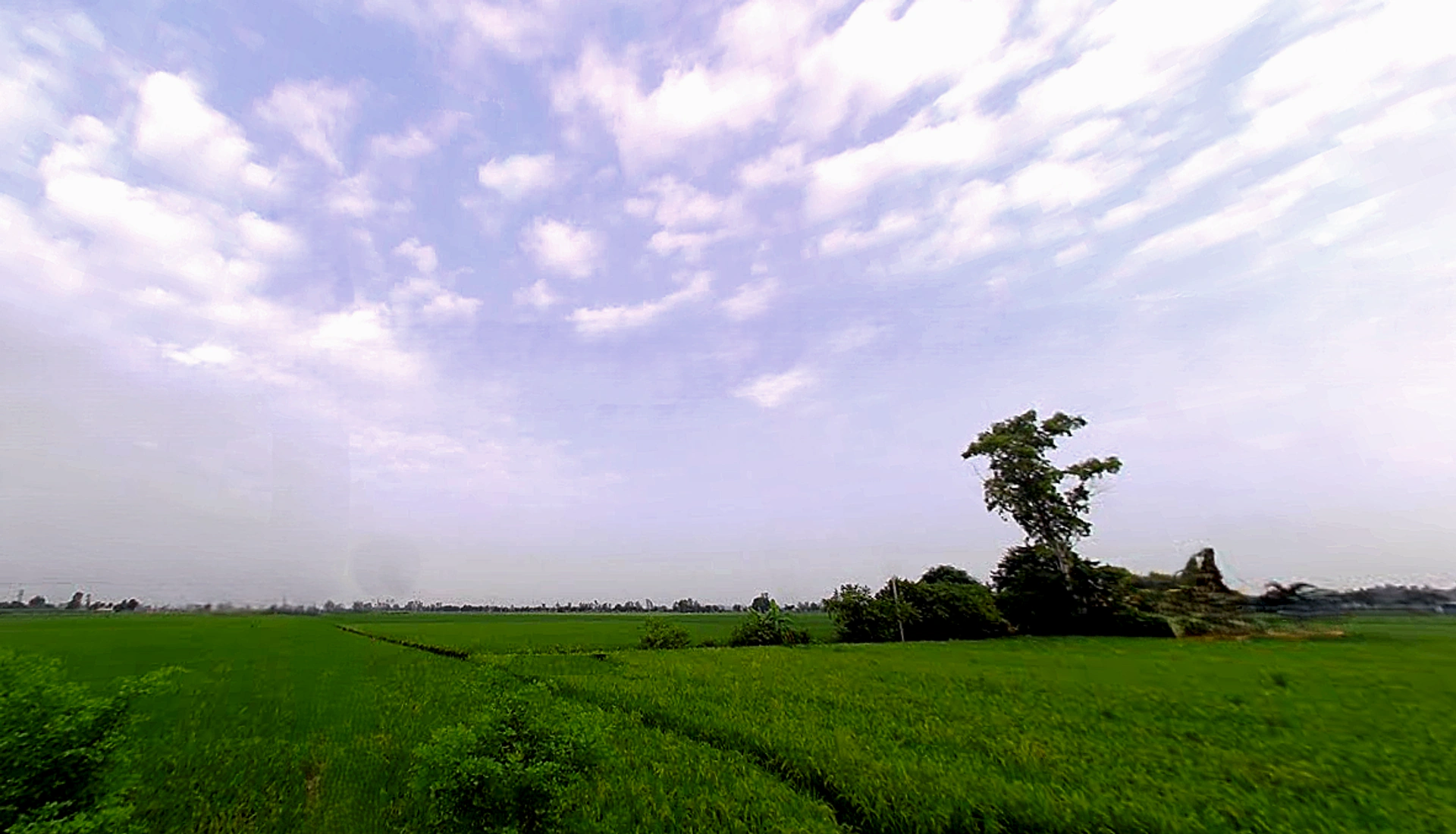 Mohanpur, Haryana 136128, India