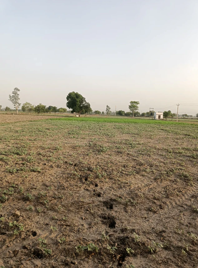 2RXH+5GX, Ujjain, Silodamori, Madhya Pradesh 456006, India