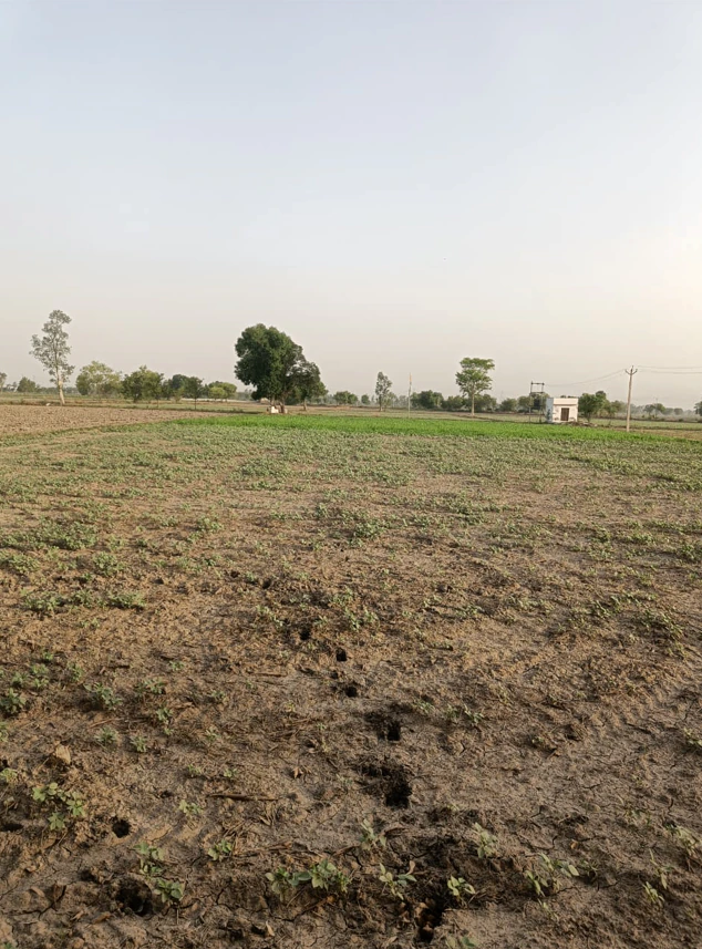2RXH+5GX, Ujjain, Silodamori, Madhya Pradesh 456006, India
