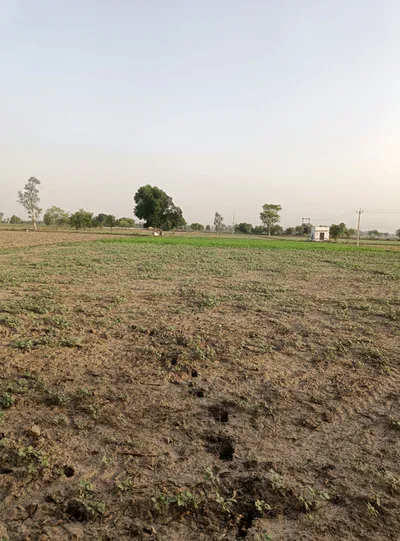 2RXH+5GX, Ujjain, Silodamori, Madhya Pradesh 456006, India preview 3