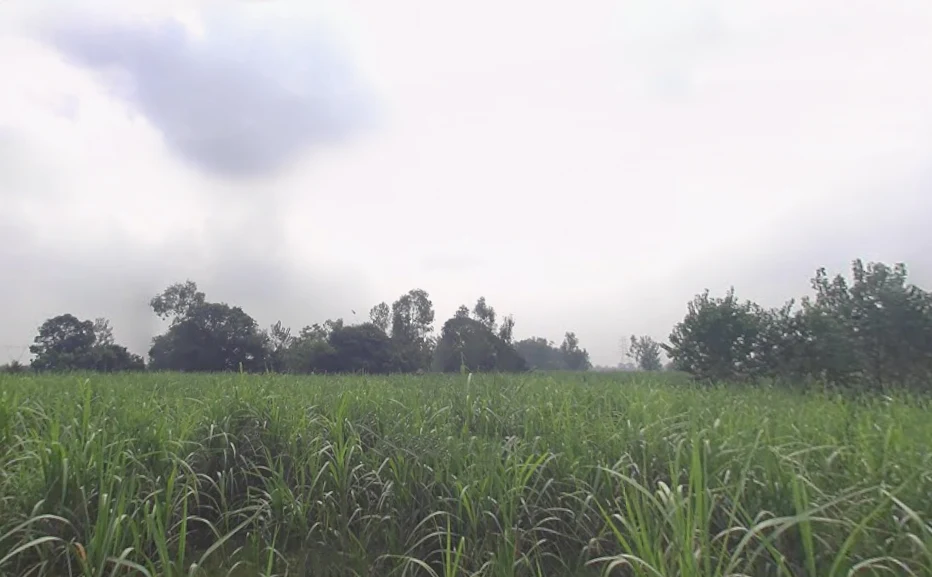 Dotai, Uttar Pradesh 245205, India